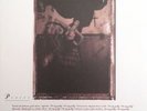 Surfer Rosa by Pixies Vinyl LP 2004 4AD Reissue 180 Gram