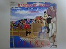 Prince And The Revolution Raspberry Beret Paisley Park P-1964 Japan  VINYL EP