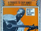 Skip James ?A Tribute To Skip James Volume One LP 1970 delta blues NM