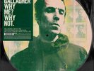 OASIS LIAM GALLAGHER LP Why Me ? Why Not PICTURE DISC Record Store Day 2019 NEW