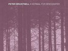 Peter Bruntnell - Normal For Bridgwater 12