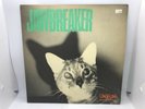 Jawbreaker - Unfun SH-07 Shredder Green Logo First Pressing 1990 US Vinyl LP