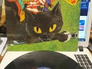 THE WITCH  RATTLES RARE LP FIRST PRESS excellent condition