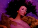 Kate Bush 