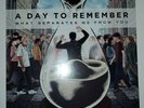 A Day To Remember ?- What Separates Me From You LP - YELLOW Vinyl Album Record