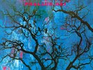 Amon Düül II ?– Phallus De LP 1969 genau lesen   German Repress