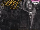 RSD - BIG L - THE DANGER ZONE LP PINK VINYL HIP HOP / RAP (Pre-sale)