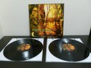BLACK VINYL - Green Carnation - Light of Day, Day of Darkness (2016, Prophecy)