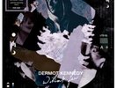 DERMOT KENNEDY WITHOUT FEAR PICTURE DISC RARE rsd20 rsd 20 2020 RECORD STORE DAY