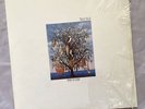 TALK TALK - Spirit Of Eden Original UK 1st Pressing Vinyl LP (1988) PCSD 105