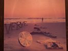 The Verve - Gravity Grave 10” Vinyl Rare Richard Ashcroft Oasis
