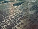 Fleet Foxes   SHORE   Ltd Ed SANDY GOLD Vinyl LP   Spotify   Sold Out