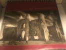 U2 LP THE UNFORGETTABLE FIRE 1995 ISLAND  MFSL 1-207  LTD NUMBERED ANADISC 200gm