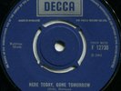 THE PLAGUE*HERE TODAY, GONE TOMORROW*LOOKING FOR THE SUN*DECCA*EX-