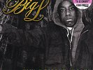 Big L - Danger Zone  NEW RSD Record Store Day 2020