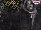 Big L - The Danger Zone 2xLP 12