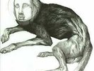 Thee Oh Sees - Putrifiers II EP (Vinyl)