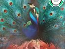 OPETH -SORCERESS LIM ED 4 X 10