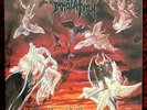 IMMOLATION - dawn of pos. LP 1.Press 1991 Gorguts Death Autopsy Obituary Carcass