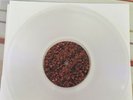 Sendelica Lathe Cut 8” Disc Return Of The Maggot Brains ‘Rare’ Fruits De Mer