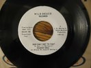 Sharon Soul,How Can I Get to You,Wild Deuce Label,Northern Soul 45 RPM