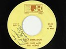 C&W Novelty 45 - Mr. Bum and the Hobos - Gay Liberation - Big H - mp3 - unknown?