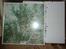 MELISSA ETHERIDGE BREAKDOWN 1999 ISLAND RECORDS SEALED 12