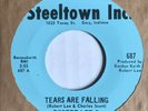 northern soul 45 ROBERT LEE & THE EXQUISITES Tears Are Falling  STEELTOWN listen