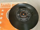 The Supremes - Love Is Like An Itching In My Heart 7