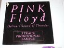 PINK FLOYD DELICATE SOUND OF THUNDER 3 TRACK PROMOTIONAL SAMPLE 12