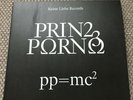 Prinz Porno - pp=mc2 - Vinyl + CD - LP - wie Neu -