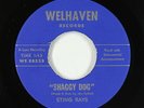 Garage 45 - Sting Rays - Shaggy Dog - Welhaven - VG+ mp3