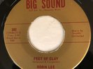 Robin Lee 45 obscure Wisconsin Exotica garage new breed soul  HEAR IT