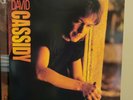 David Cassidy 1990 Enigma Vinyl LP Super Rare