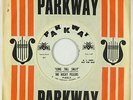 Rock & Roll 45 - Rocky Fellers - Long Tall Sally - Parkway - VG+ mp3