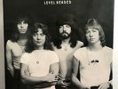 SWEET LEVEL HEADED 1978 GLAM ROCK POP VINYL LP
