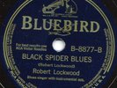 BLUES- ROBERT LOCKWOOD 