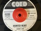 Halloween Rockabilly 45 Johnny Lion - Haunted Heart HEAR  Coed