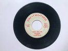 Northern Soul 45 The Martels Clifford Russell Don't Hold Me 1960s 1.2.3 Records