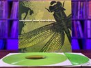 Coheed And Cambria ?– The Second Stage Turbine Blade Colored Vinyl