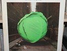 THE METERS CABBAGE ALLEY US OG LP CLEAN, IN SHRINK