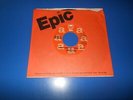 70's 45 RPM REDBONE On EPIC Records / Come And Get Your Love / DJ / Rare MONO