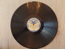 78 RPM Record Bluebird 6582 Dixon Brothers and Mutt Evans My Girl In Sunny Tenne