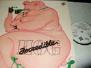 INCREDIBLE HOG : SAME WHITE LABEL PROMO LP 1973 TELEFUNKEN SLE 14738 GERMANY