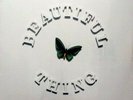 The Stone Roses     Beautiful Thing  12