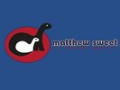 Matthew Sweet - Altered Beast [180 gm LP vinyl]