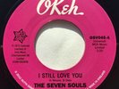 The Seven Souls