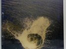 MOUNTAIN MAN made the harbor (sealed) LP M/M, BELLAV246 vinyl, album, folk, 2010