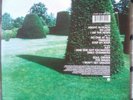 ocean colour scene RSD  double green vinyl opened never played