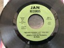 vinyl records / Never Gonna Let You Go / Jobell and the Orchestra de Salsa GC